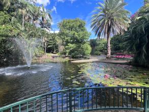 Botanischer Garten